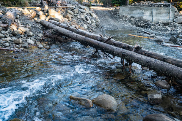 A small fast clear stream in a sunny Carpathian gray forest among a large number of small pebbles