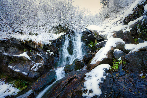 Small fast stream among small wet stones and cold white snow in the picturesque Carpathian mountains in beautiful Ukraine and its fantastic nature