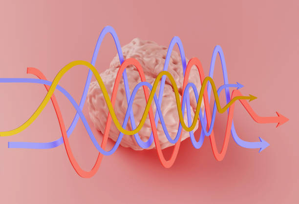 istock human pink brain model and curved arrows on pink background, 3d illustration 1297783280