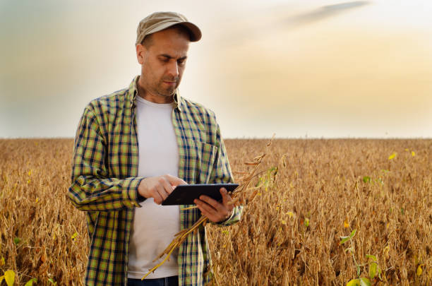 istock Caucasian middle age farmer uses tablet computer for inspecting soy at field 1297786764