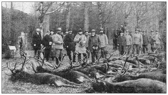 Antique black and white photograph: Hunting with royalty, German Emperor Wilhelm II