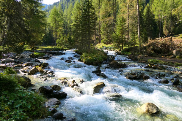 istock Mountain river with fast flow in scenic landscape 1297788398