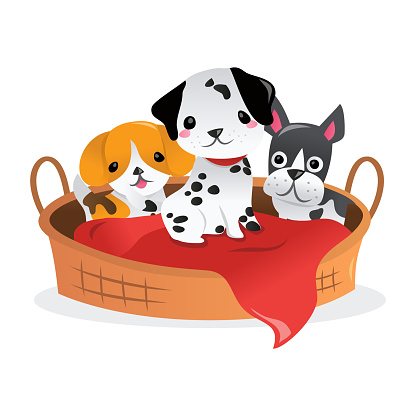 A cartoon vector illustration of three cute puppies in a pet bed.