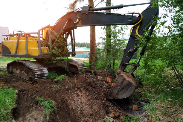 istock A huge yellow excavator is digging with a bucket in the open air.Preparatory work is underway and a trench is being dug. Horizontal photo 1297794332