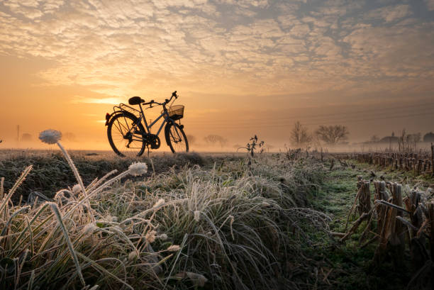 Sunrise stock photo