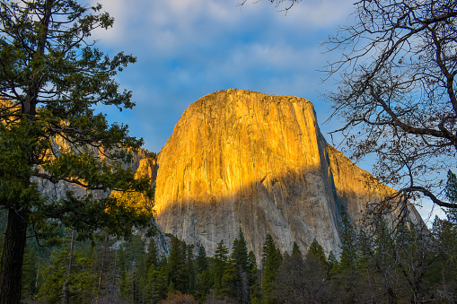 Gorgeous Yosemite National Park El Capitan granite rock formation under sunset amidst towering forest