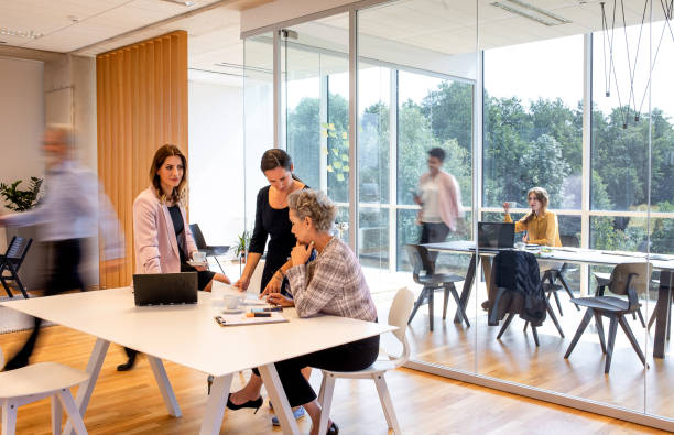 istock Business people working in the office 1297797329