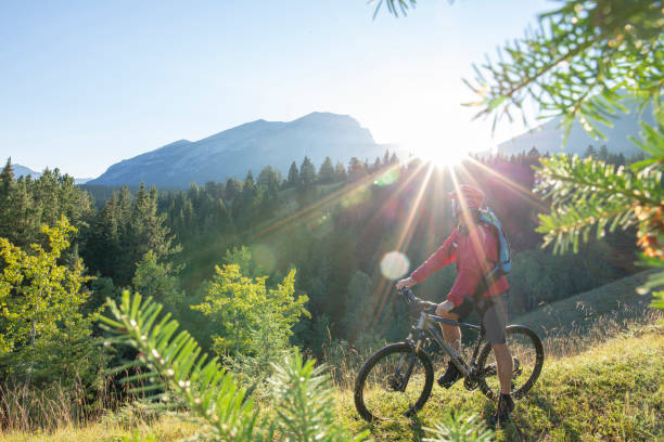 istock Male mountain biker follows forested trail at sunrise 1297799337
