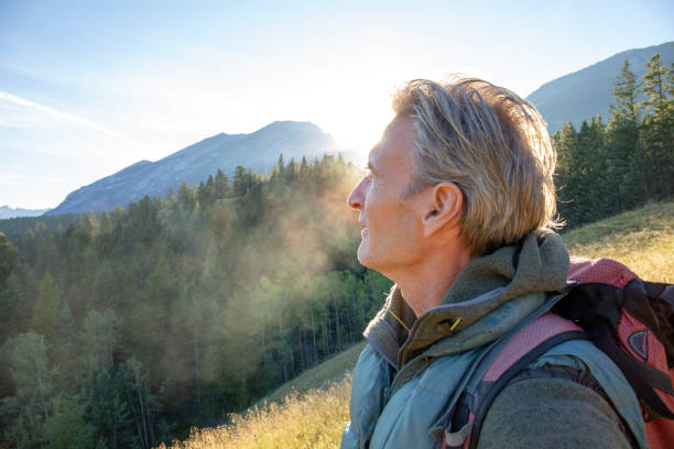 istock Male hiker walks along forested trail at sunrise 1297800392