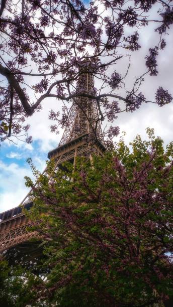 istock The Eiffel tower demanding its beauty and view from below 1297804872