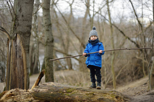 istock Little boy hiking in the forest on a early spring. Kid playing and having fun in spring or autumn day. 1297805818
