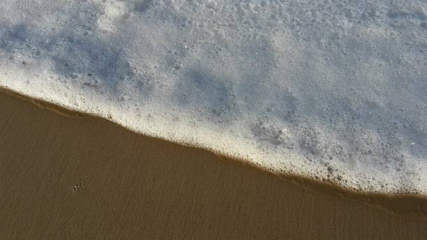 istock Sea foam on the sand 1297807819