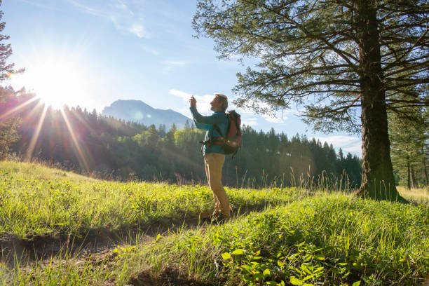 istock Male hiker walks along forested trail at sunrise 1297808466