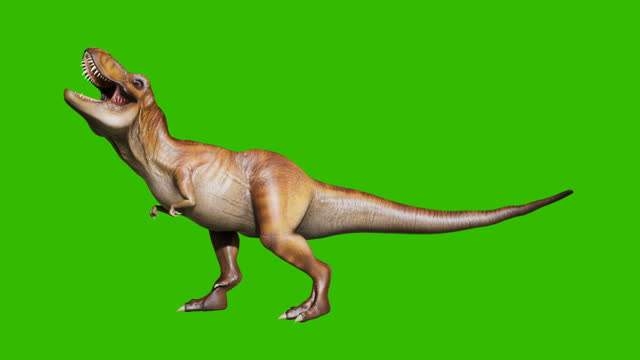 The angry dinosaur tyrannosaurus makes a horrific roar in a looping seamless animation. Reptile in front of green screen. Animation for historical, natural and animal backgrounds.