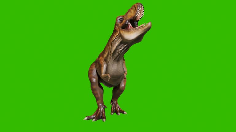 Desenho animado tiranossauro rex réptil pré-histórico grande