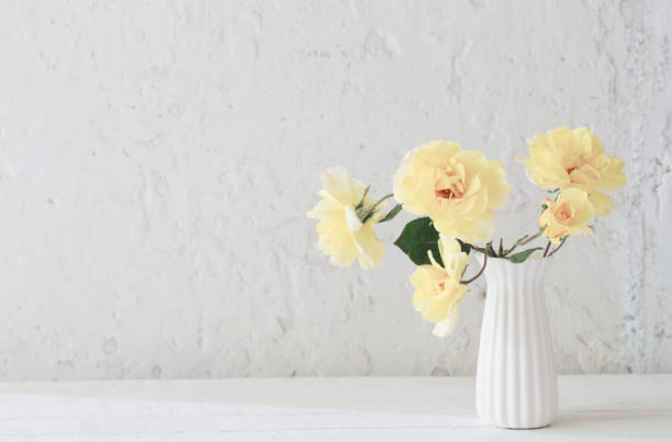 istock yellow roses in white vase on background white wall 1297813920