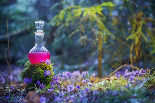 magic potion in bottle in  fairy forest magic potion in bottle in  fairy forest snowdrops in woodland stock pictures, royalty-free photos & images