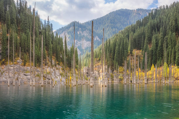 istock Kaindy Lake, Kazakhstan 1297817651