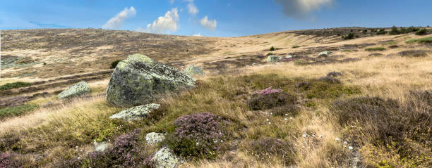 istock PANORAMIC VIEW OF PLATEAU MOUNTAINS 1297817753