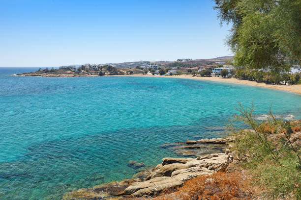 istock Logaras beach in Paros, Greece 1297818615