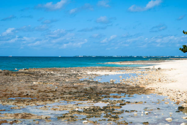 istock Grand Cayman Island Seven Mile Beach 1297820604