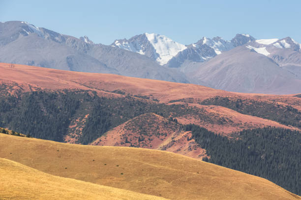 istock Assy Plateau, Kazakhstan 1297820657