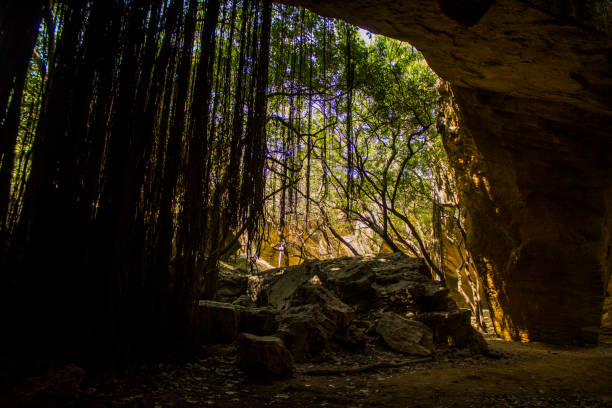 istock Naida Caves, Diu in the day 1297820784