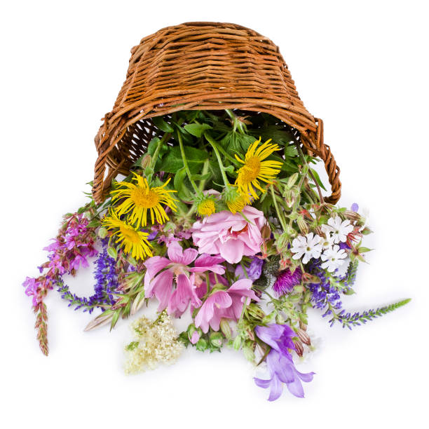 Beautiful flowers in a basket, vintage style.