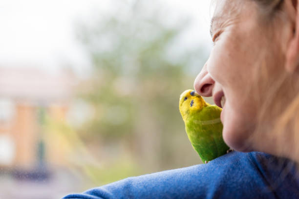 istock Nostalgic Woman with her Cute Pet Budgerigar Looking Through the Window 1297824563