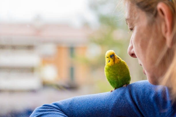 Nostalgic Woman with her Cute Pet Budgerigar Looking Through the Window