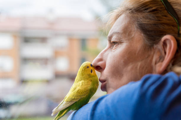 istock Nostalgic Woman with her Cute Pet Budgerigar Looking Through the Window 1297824569