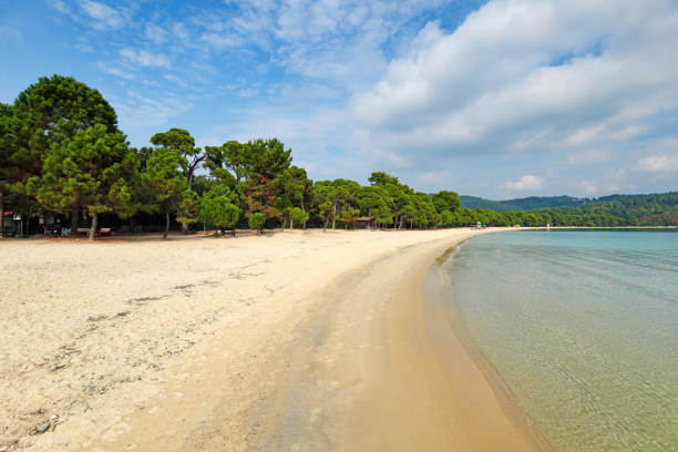 istock The beach Koukounaries in Skiathos, Greece 1297827675