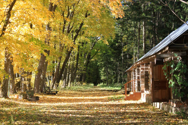 Leo Tolstoy The state museum of Yasnaya Polyana where Leo Tolstoy spent most of his life, Yasnaya Polyana, Tula Region, Russia leo tolstoy stock pictures, royalty-free photos & images