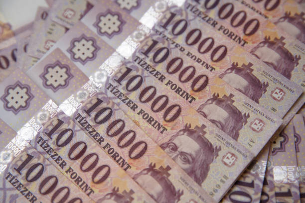 istock 10000 forint banknote stacks as a background (Hungarian forint). King St. Stephen. Europe Hungary. 1297828616