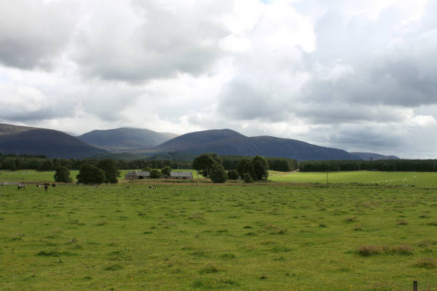 istock A view of the Scottish Countryside 1297831215