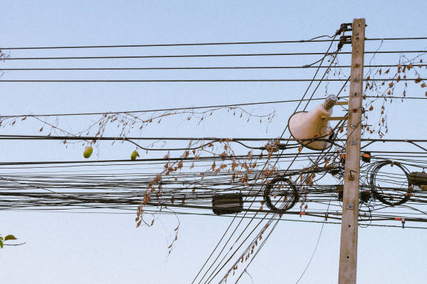 istock The hatchery wrapped around the electric pole. 1297831393