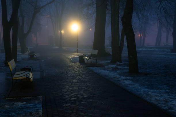 istock lanterns trees and benches in fog at night in park 1297834479