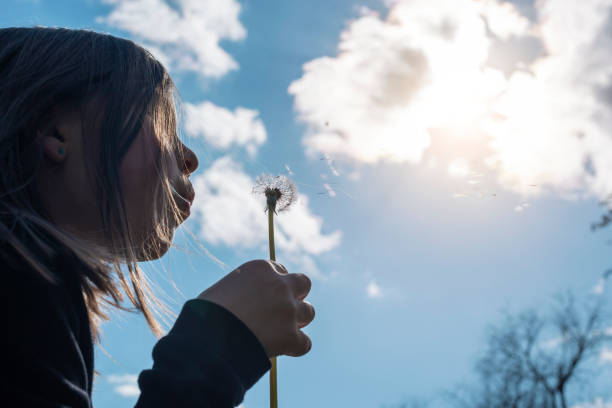 istock A cute child blowing a dandelion. 1297835086