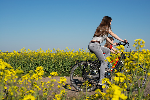 Young girls ride a bicycles between fields of rapeseed