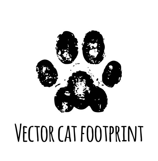 Vector Cat Footprint Paw Print Mark Stock Illustration - Download
