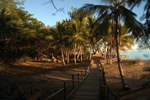 Ngouja The small footbridge of ngouja, Mayotte. mozambique channel stock pictures, royalty-free photos & images