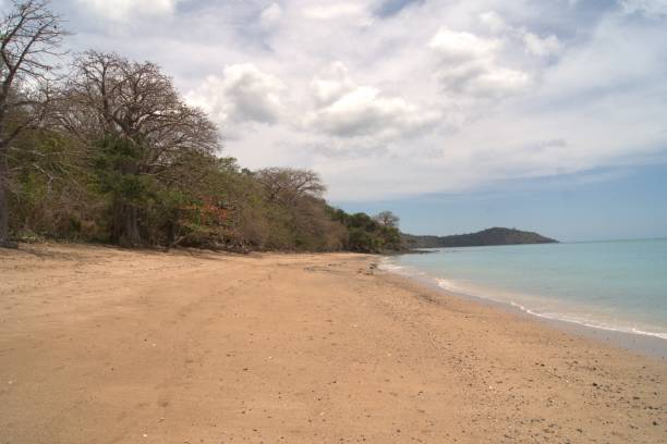 istock Beaches in the south of Mayotte 1297843554