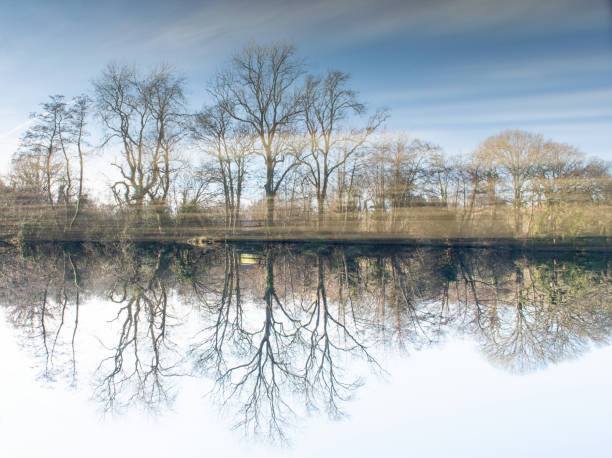 istock Hi Key upside down landscape of a pond reflection 1297845337