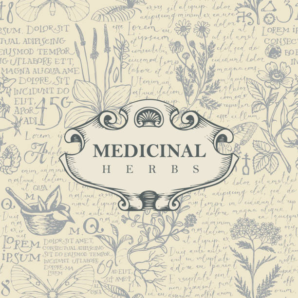 векторный баннер для лекарственных трав в стиле ретро - drug label stock illustrations