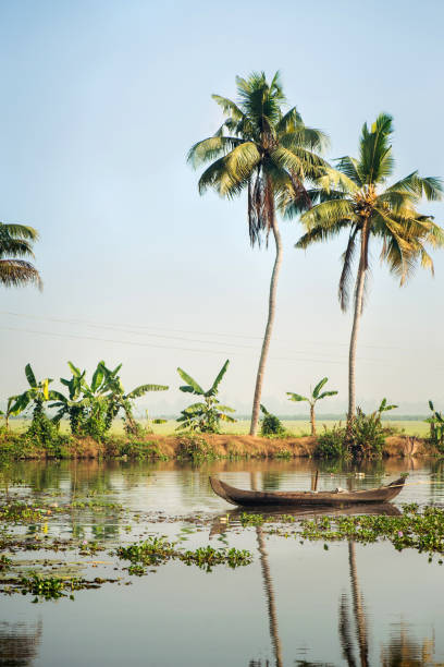 istock Tourist boat on Alleppey backwaters, India 1297852829