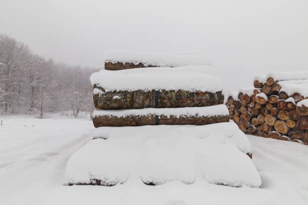 istock Winter.  Snow view image.  Beautiful background landscape. 1297855560