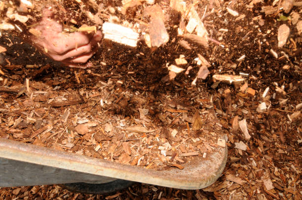 istock wood chips as heating fuel 1297858322