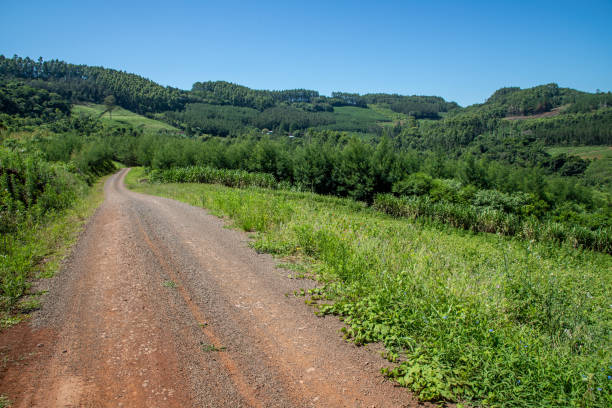istock Dirty road, Forest and farm fields 1297859560