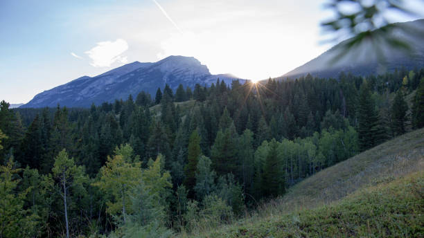 istock Scenic view of mountain ranges and forest 1297863202
