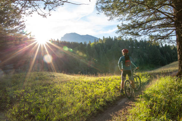 male mountain biker stops on forested trail at sunrise - achievement mature adult adult mountain range imagens e fotografias de stock